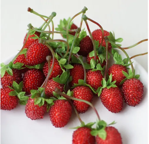 

10pcs/set Lifelike Set Artificial Fruit Table DIY Decoration Plastic Fake Kitchen Strawberry mushroom Simulation Craft Food