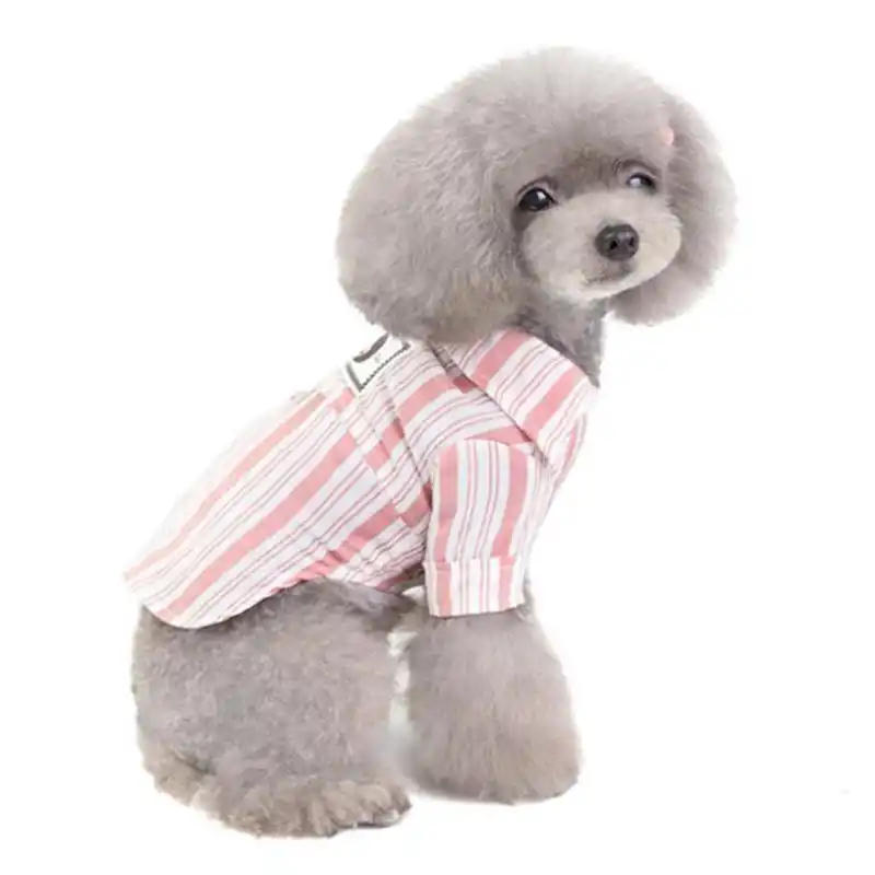 Medium sized dog shirts Clearance