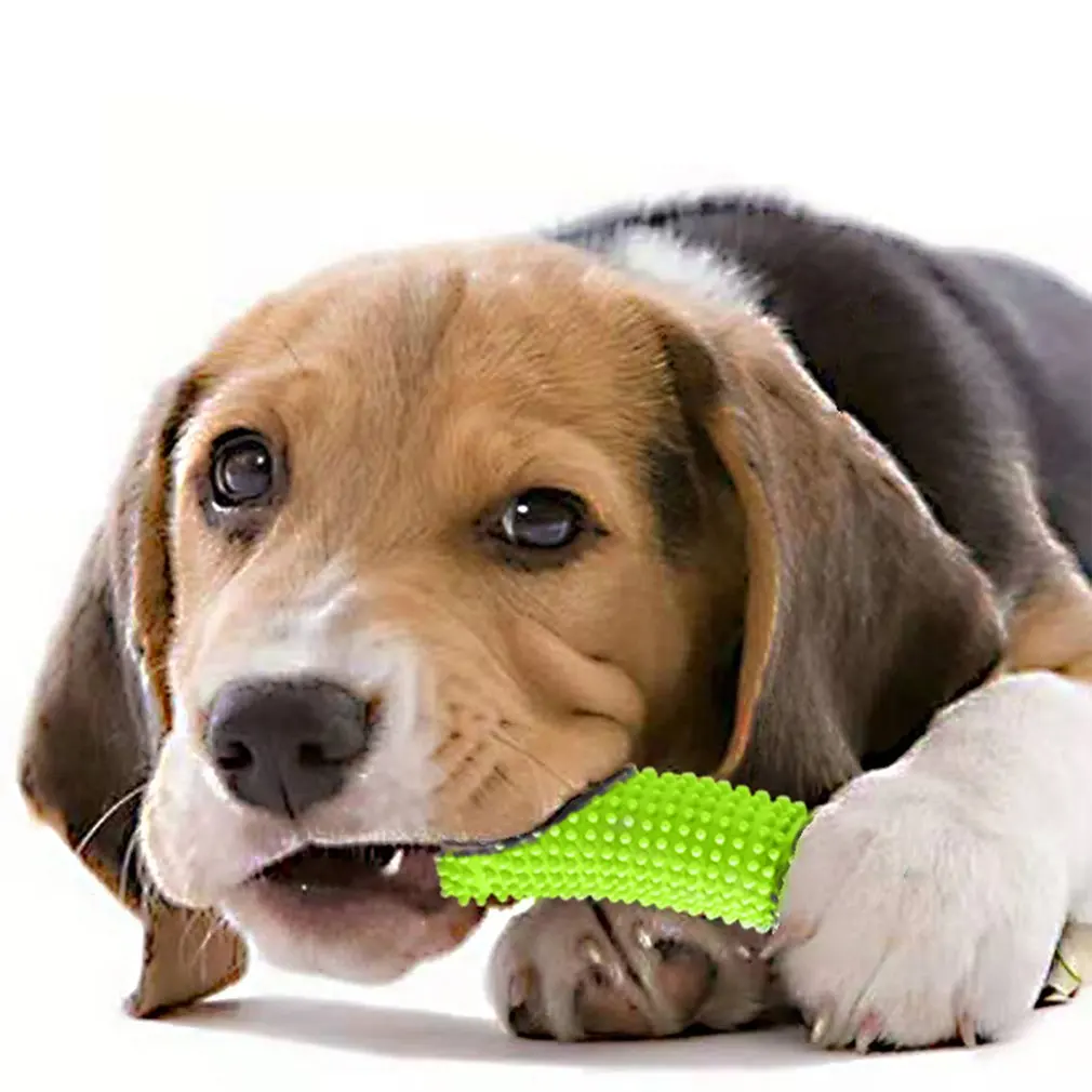 Pet Molar Toy Cucumber Dog Teething Toy Bite Resistant Interactive Dog