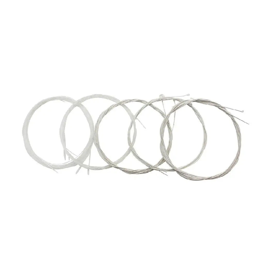 IRIN Udchenko Oud Lute Strings 10/11/12 Strings Set Transparent Nylon & Silver-Plated Copper Alloy Wrapped Strings