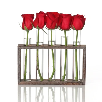 

Test Tube Rack Planter, Transparent Hydroponic Flower Clear Vase with Wood Stand