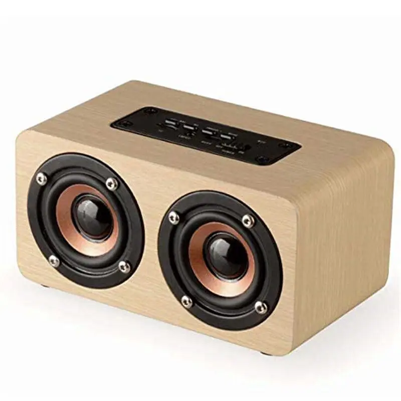 portable speaker with aux input