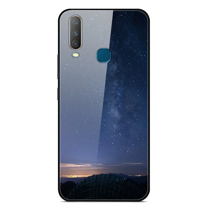 as photo 47 Чехол из закаленного стекла для Vivo Y17, чехол, жесткая задняя крышка для Vivo Y15, чехол для Vivo Y12, чехол из ТПУ, бампер для Vivo Y3, чехол, Funda - Цвет: as photo 47