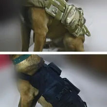 Тактическое снаряжение жилет для собак дышащая военная одежда для собак регулируемый размер тренировочный охотничий жилет для собак