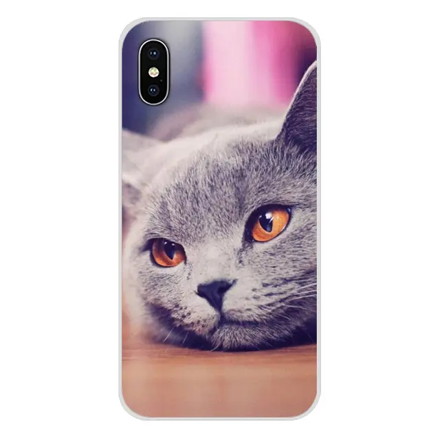 Cute british shorthair cat For Samsung A10 A30 A40 A50 A60 A70 