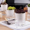 2pcs Clear Self Watering Pot Planter For Indoor And Outdoor Plants Flowers Herbs  Garden Pots & Planters Plant Accessories