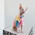 Безволосая Одежда для Кошек Sphinx Deven Rainbow Breathable Sun-proof T-shirt Pet Clothes For Dogs Shirt