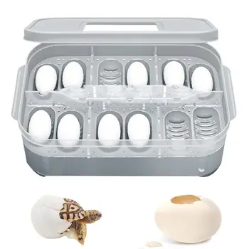 

1PC Pet Reptile Lizard Birds Gecko Snake 12 Grids Egg Hatcherys Breeding Box Case Incubator Not Including Thermometer