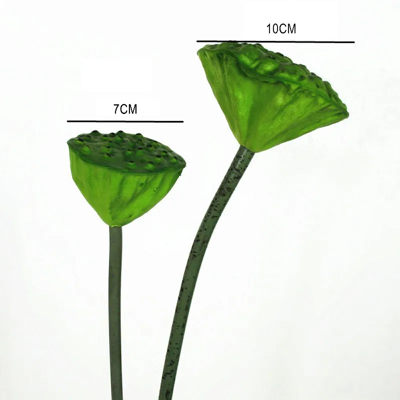 ZYD00640-01-ZYD00640-10-D1