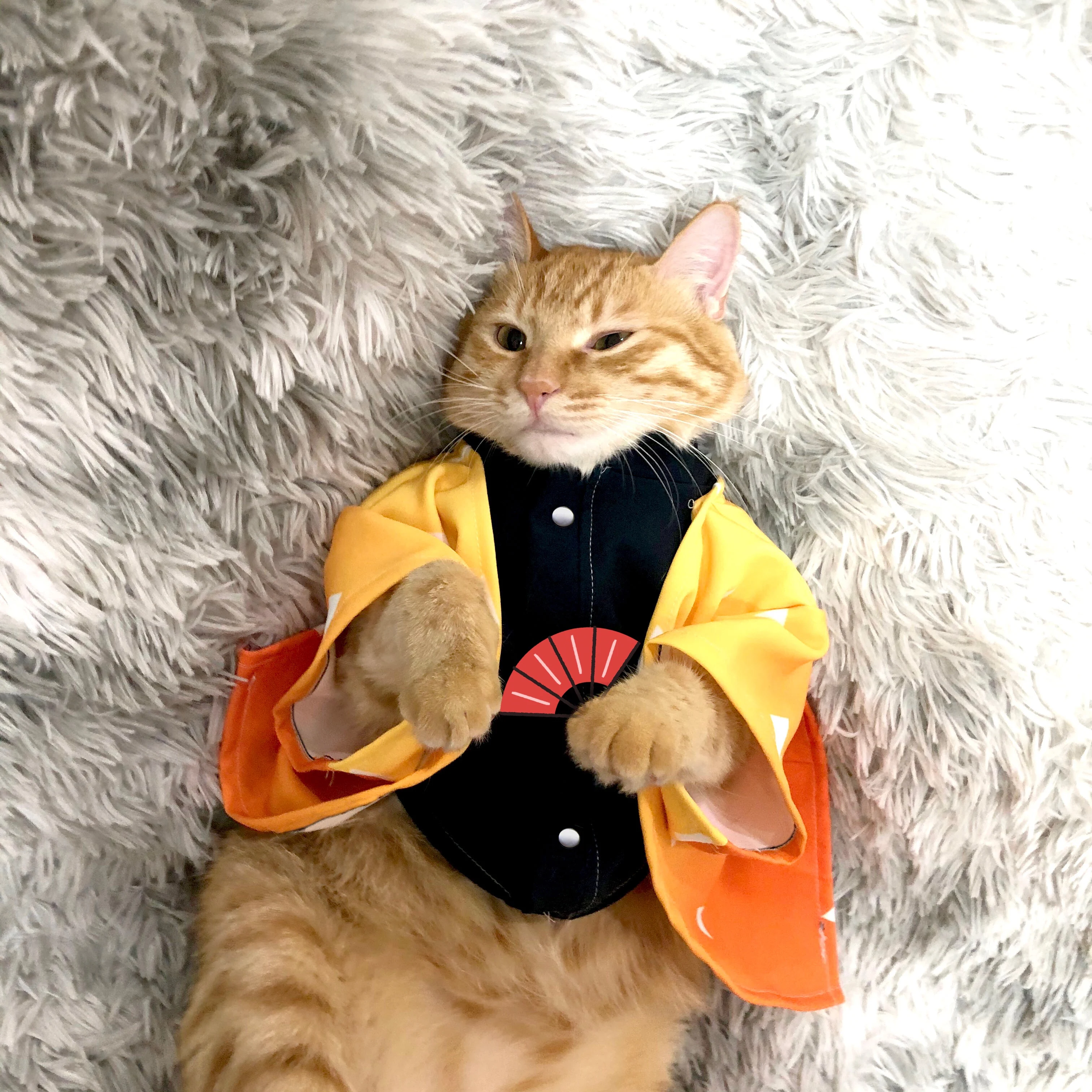 Костюм-накидка для косплея «Demon Slayer Kimetsu No Yaiba Cats Kamado Tanjirou Nuzuko Tomioka Giyuu Kochou Shinobu Agatsuma Zenitsu»