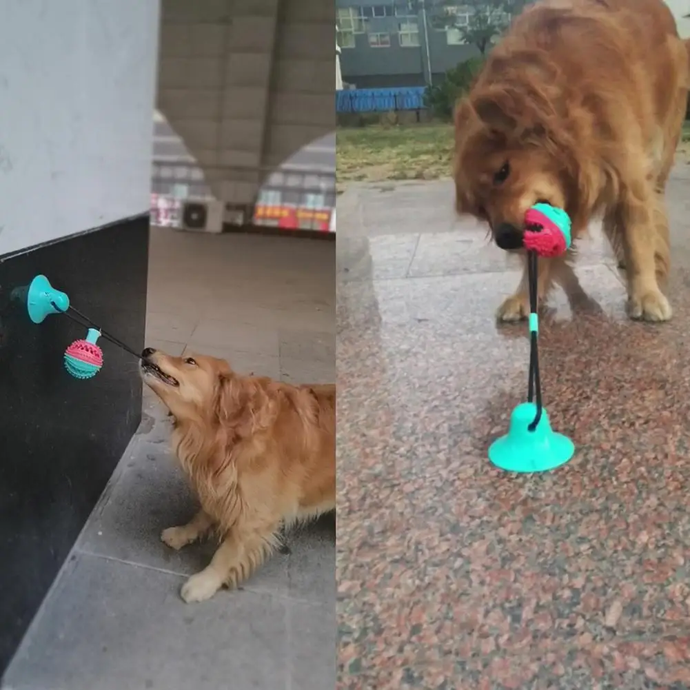 Собака жевательная игрушка веревка мяч с присоской зубы Чистка питомца головоломки лечения еды дозирования домашних животных молярная игрушка укуса