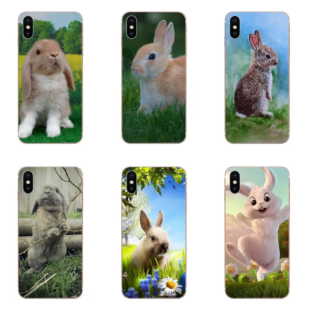 

Bunny Rabbit For Galaxy Alpha Note 10 Pro A10 A20 A20E A30 A40 A50 A60 A70 A80 A90 M10 M20 M30 M40 TPU Cute Case