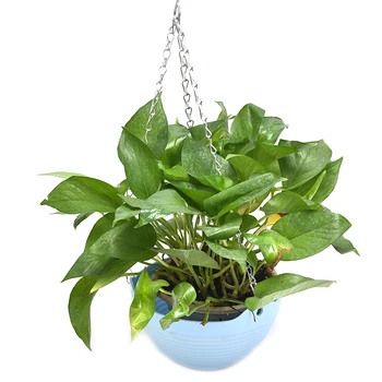 

Handgemaakte Hanging Basket Flower Basket Holder Flowerpot Lifting Rope Macrame Plant Hanger Garden Pot Planter Display String