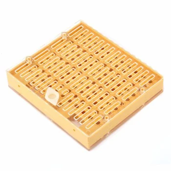 

New Complete Queen Rearing Cupkit Bee Catcher Beekeeping Box & 120 Cell Cups Set