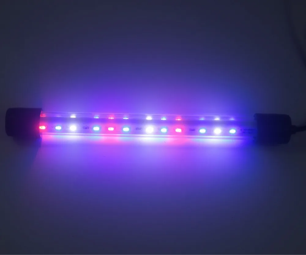 4489187874_1074237706