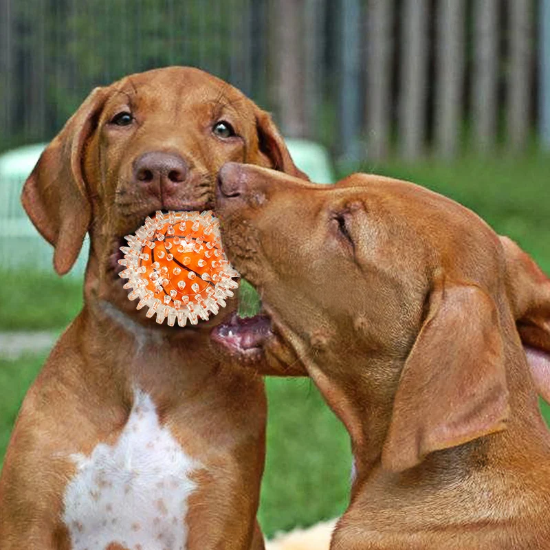 Игрушка для домашних животных собака плюшевая холщовая игрушка укусов цитит