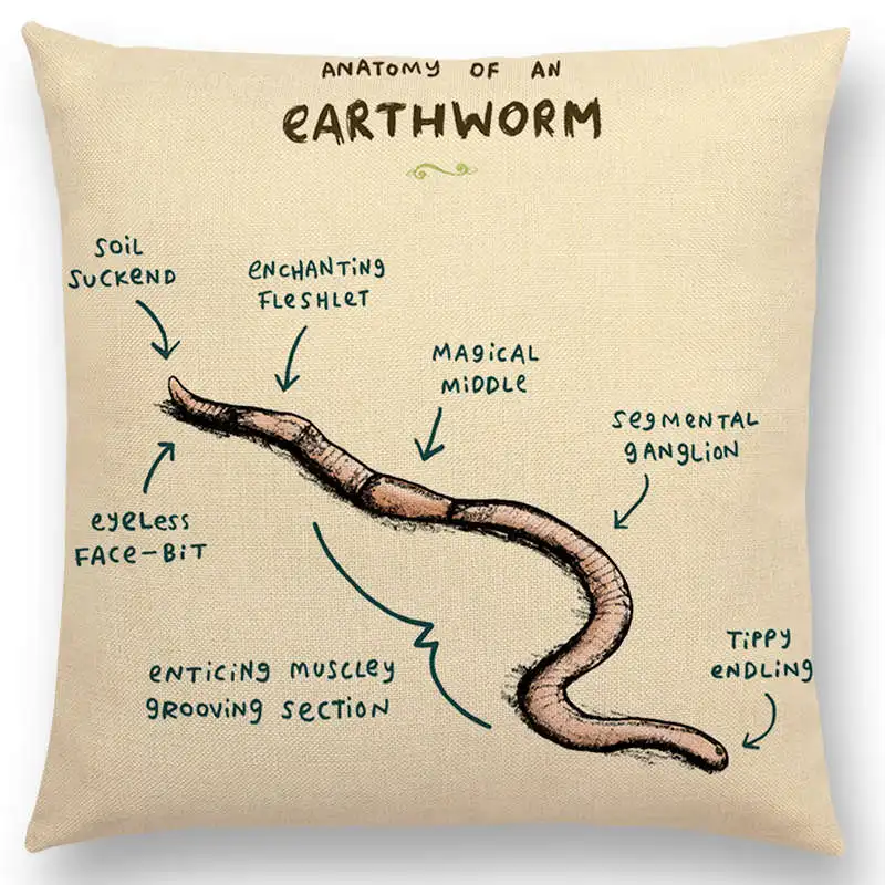 Милые животные Чехлы для подушек Ежик лиса Axolotl Коза Кролик Собака чехол для подушки с кошкой декоративный льняной чехол для подушки - Цвет: Q
