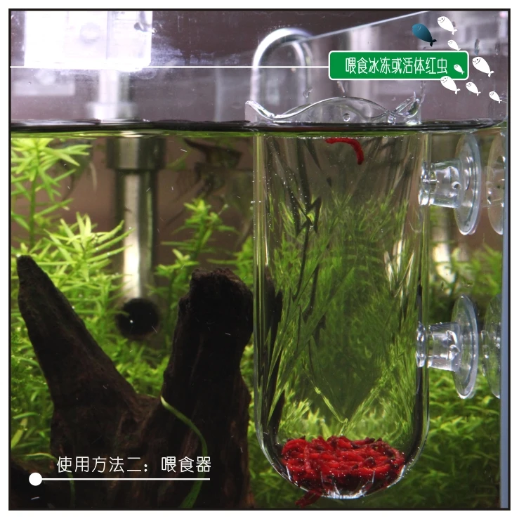 TB2ksmElyAKL1JjSZFoXXagCFXa_!!756162672