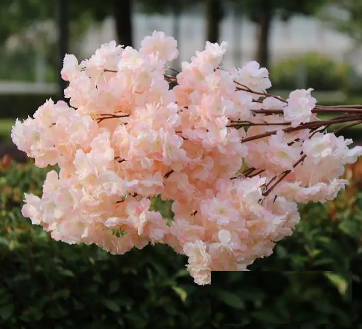 

50pcs Silk Cherry Blossom Flower Branch Begonia Sakura Tree Stem for Event Wedding Tree Decor Artificial Decorative Flowers SN