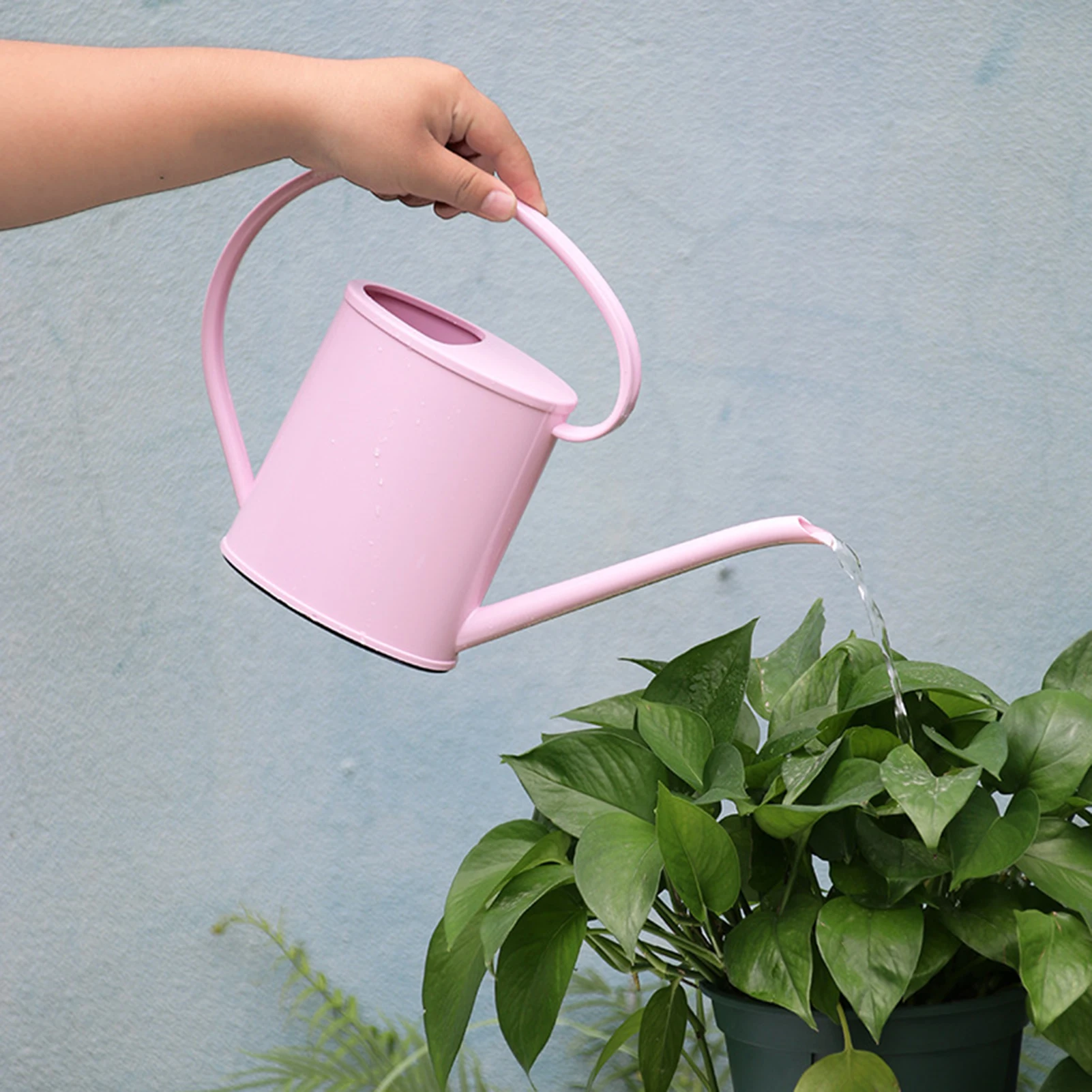 Edco/Koopman 1.2L Plastic Watering Can – Long Spout Indoor/Outdoor Plant Waterer