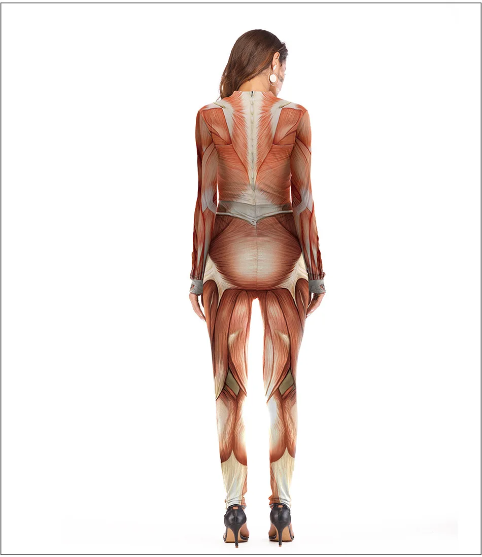 Corpo Masculino de Lado: A Ferramenta Essencial para Ensino e Estudo da  Anatomia Humana, image size:950x1098