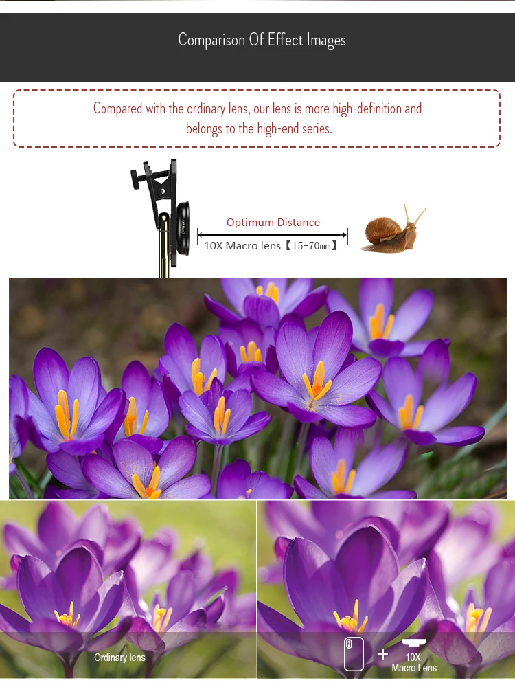 【英文版】10X_06