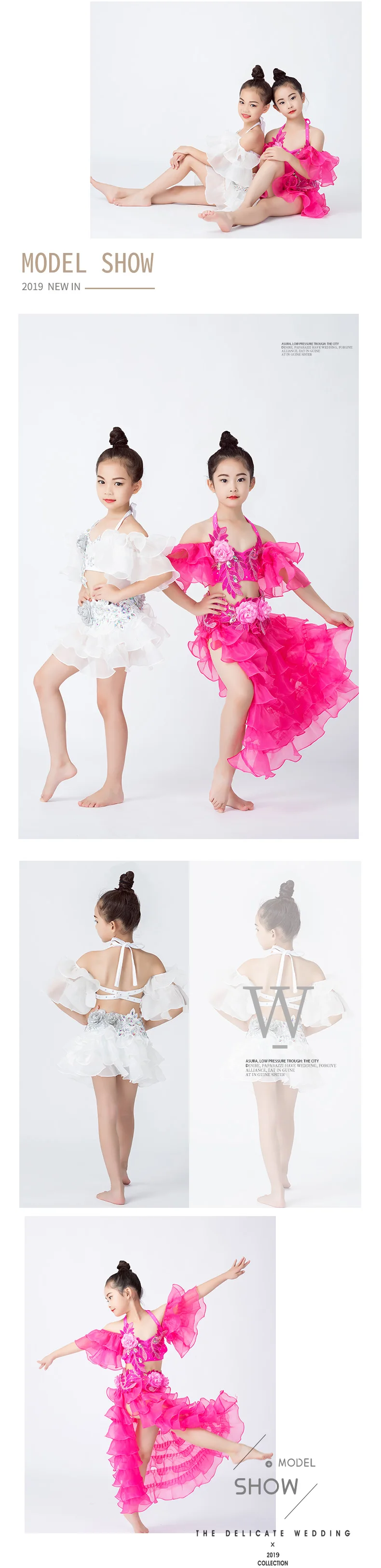 Professional Belly Dance Skirts For Girl Outfit Costume Belly Dance Top Dance Costumes Clothes(S, Hot Pink) Fairy 3 Piece Set
