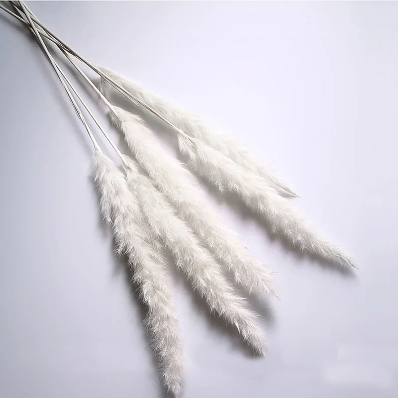 15 шт./пучок сушеных маленьких пампасов травы Phragmites украшения для дома, отеля, свадьбы TB распродажа