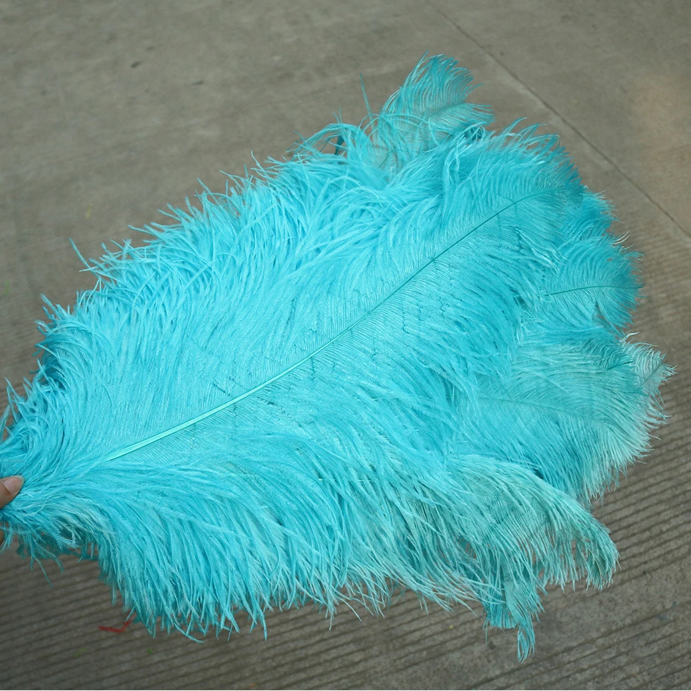 TS0165028 65-70cm ostrich feathers 2