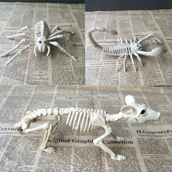 

Halloween Horror Animal Deco Scorpion Spider Mouse Skeleton Model Resin Bar Home DIY Decoration Craft Festive Party Supplies