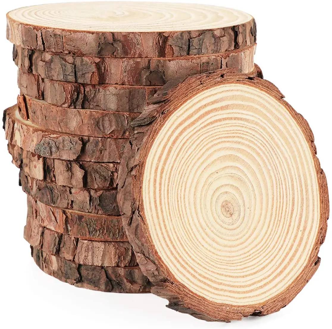 Large Wood Slices 40 - 47cm Log Slice Tree Wooden Wedding Event Kiln Dried