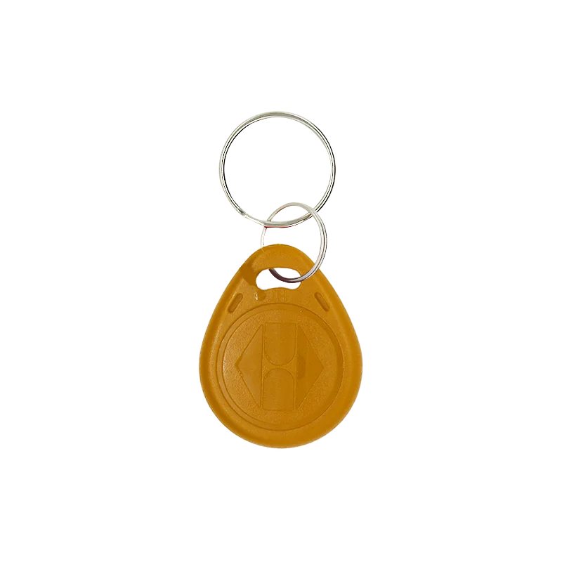 random 5pcs 5 шт./лот 125 кГц Бесконтактный жетон доступа дубликат RFID тег Брелок карта EM4305 копия перезаписываемая перезапись ID Брелоки - Цвет: random 5pcs