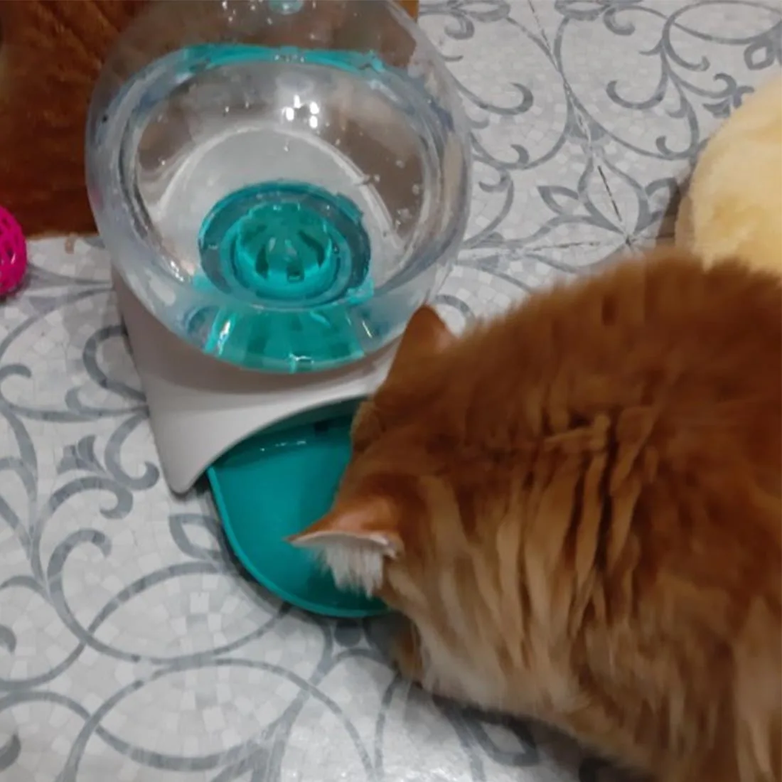 Автоматический фонтан для кошачьей воды для домашних животных диспенсер для воды большая чаша для питья кошка напиток 2.8L без электричества
