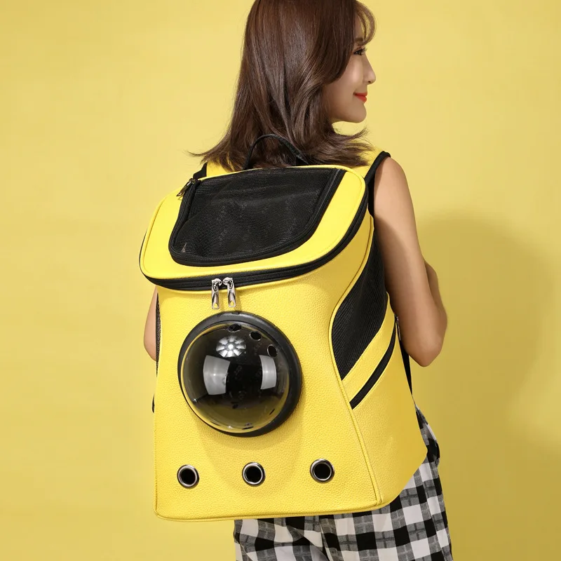 10691644353_345777210