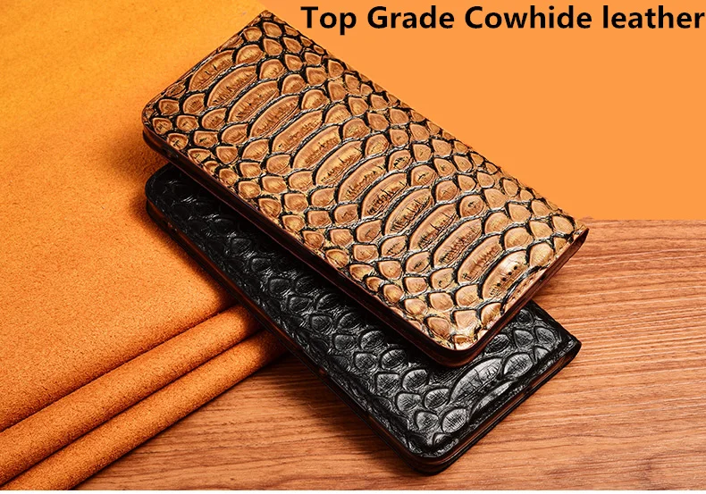 蟒蛇纹款_01_副本