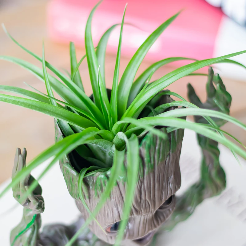 O1CN01vAry6W1gT56qjC0PU_!!1824844142