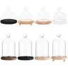 Glass Dome Bell Jar Cloche Display Jar With Wooden Base Dust Cover Home Decor Bedroom Desk Ornaments For Home Christmas Party 6