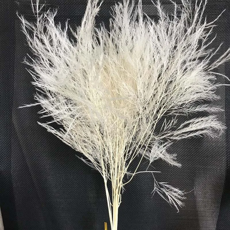 QQ图片20200922230519