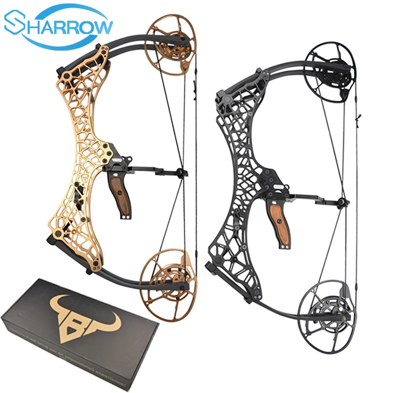 

Powerful Archery Compound Bow Draw Weight 40-70lbs Adjustable Suit for Hunting Bow Shooting fish Practice Arrows Accessories