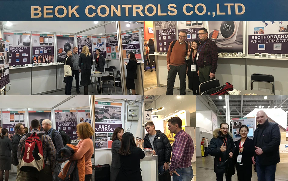 HTB1igGfKHrpK1RjSZTEq6AWAVXaH