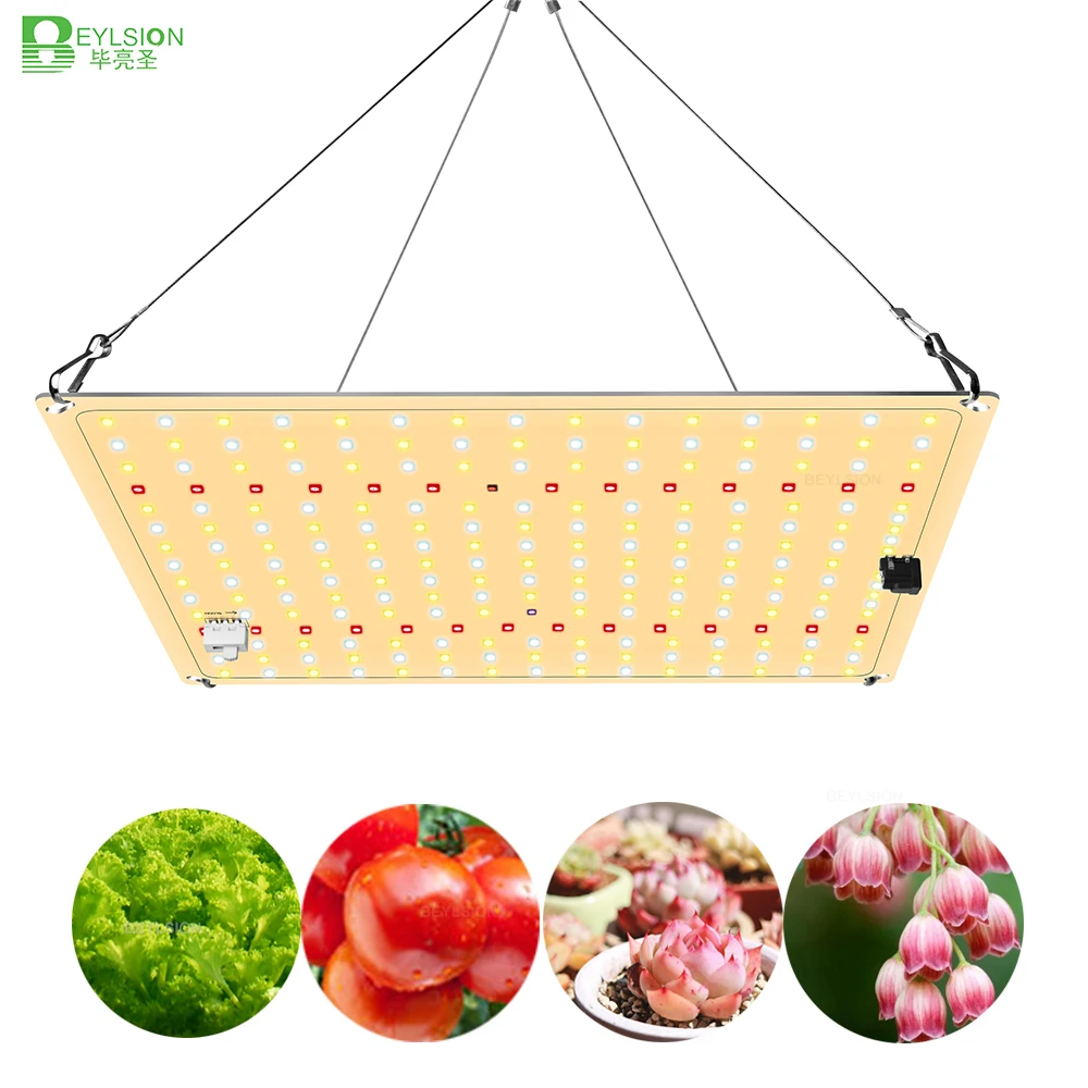 BEYLSION 600WSC IR UV LED Plant Lamp Samsung Quantum Board Phytolamp Medical Plants Growing Lights For Veg Flower Blooms | Освещение