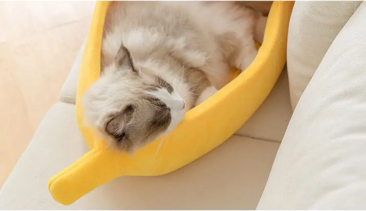 12709922768_2079131725