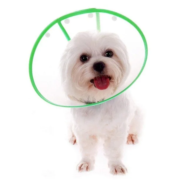 Practical-Boutique-Pet-Dog-Cat-Elizabethan-Non-toxic-Medical-Wound-Healing-Cone-Pet-Anti-Bite-Collar.jpg_640x640