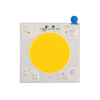 

220V 50W LED Matrix For Projectors Beads Cob Chip Spotlight for Flood Light Outdoor Chip Lamp