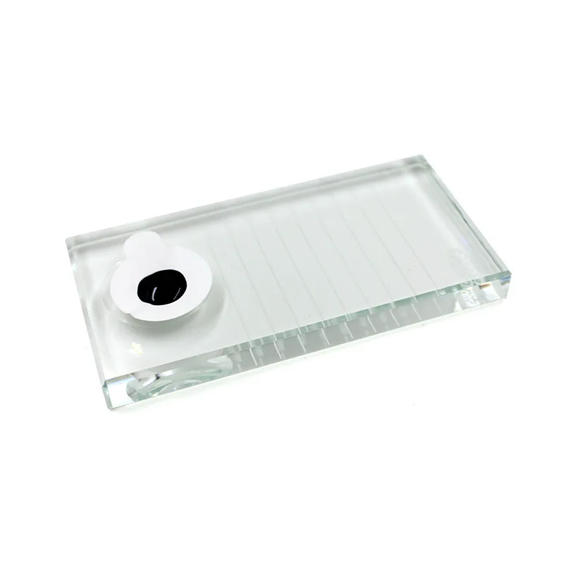 4658834955_1914898526