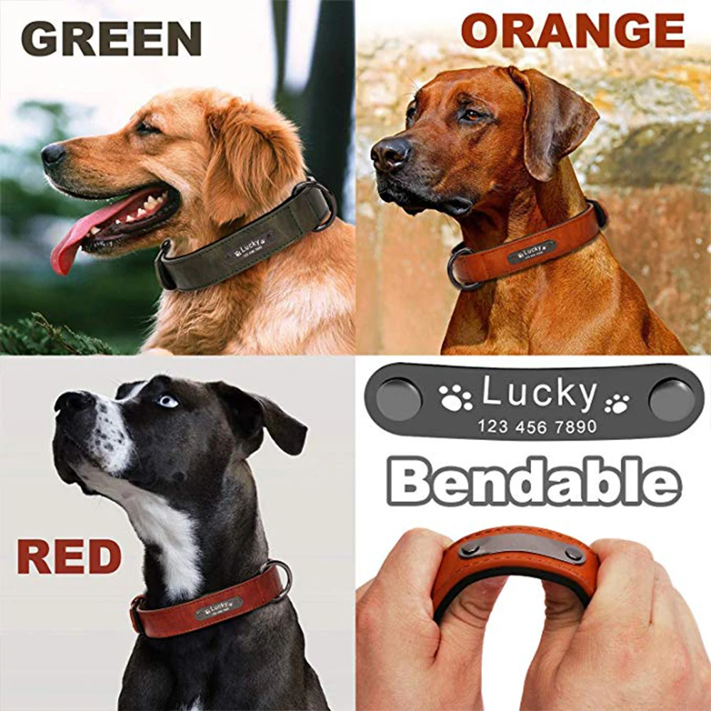 Dog Collar Leather Personalized Name Engraved