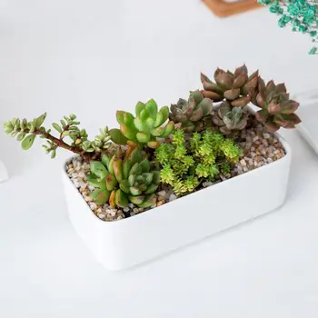 

White Rectangular Succulent Plant Cactus Planting Flower Pot Home Garden Office Ceramic Bonsai Potted Holders Planting Container