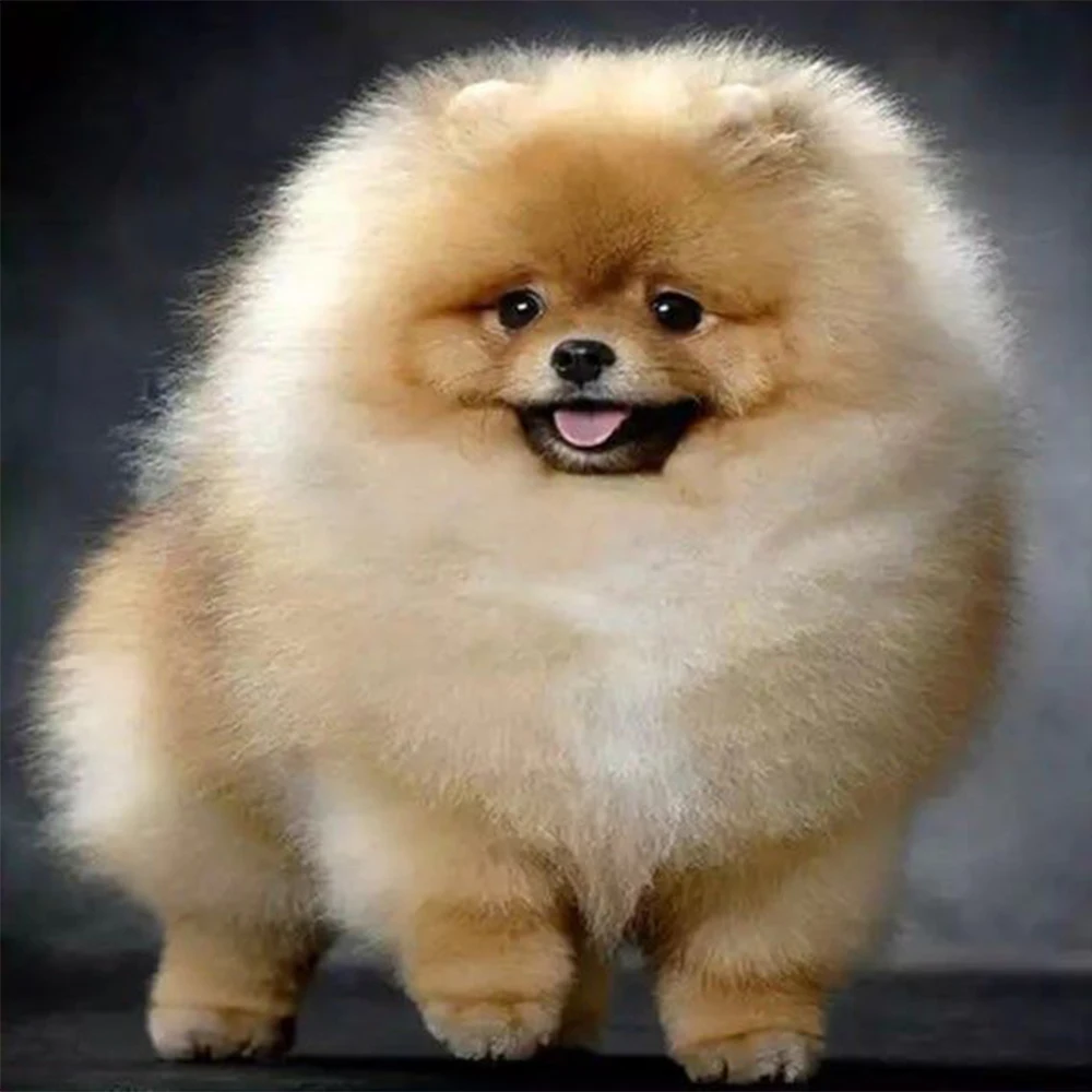 534e9153b218a9d56573c6dafb5b6b19