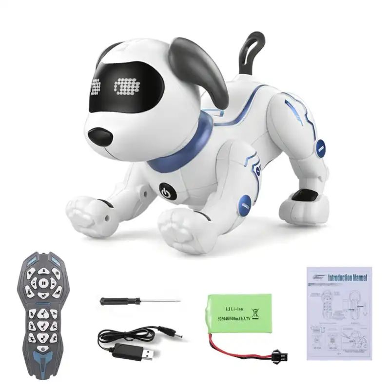 dog remote toy