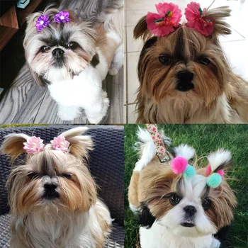 20PCS Spring Dog Hair Bows for Puppy Yorkshirk Small Dogs Hair Accessories Grooming Bows Rubber
